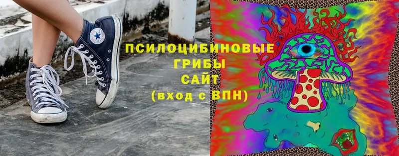 дарнет шоп  Беслан  Галлюциногенные грибы Cubensis 